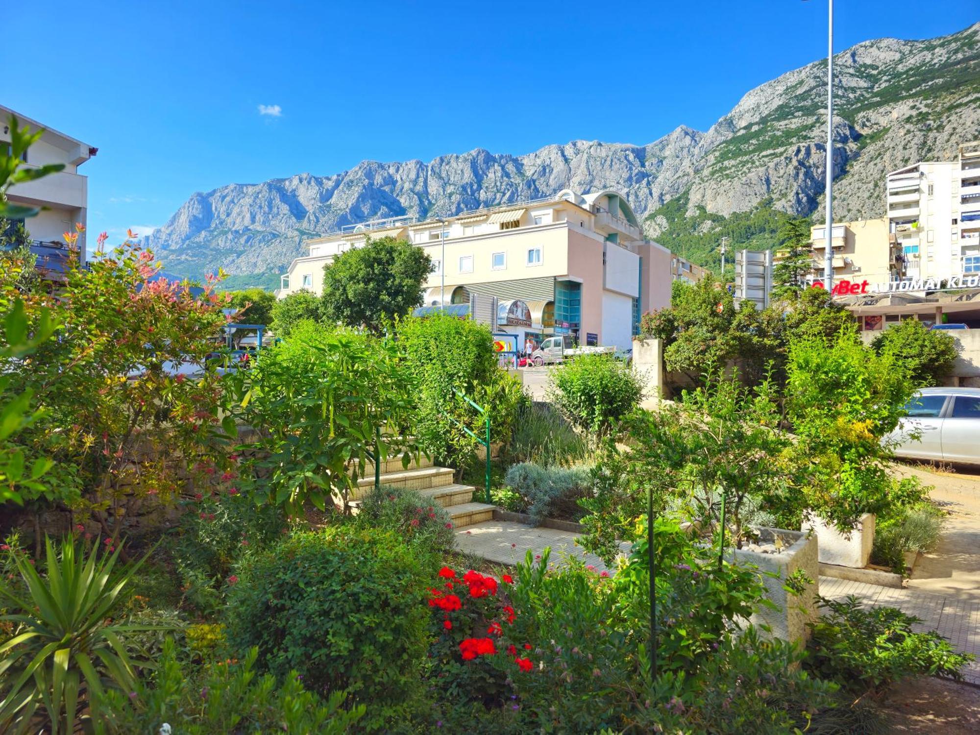 Moga Dida Makarska